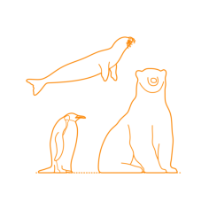 Animals Arctic Animals Craft Design Svg File, Free Vectors File